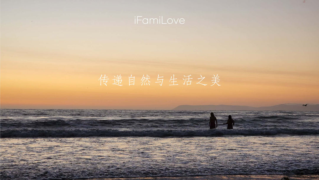 2024 iFamiLove HOME Commission Plan